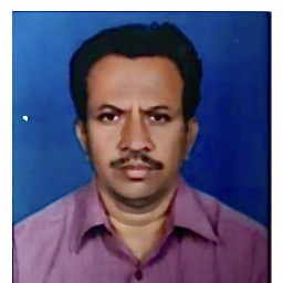 Mr. BIRAJDAR P.M.